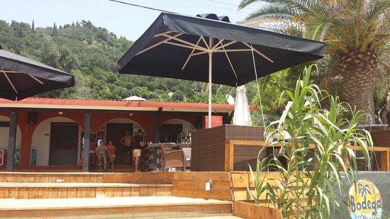 Bodega Bar Cafe