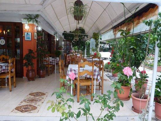 Arokaria Taverna