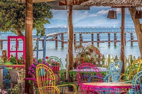 Florida Restaurant & Bar