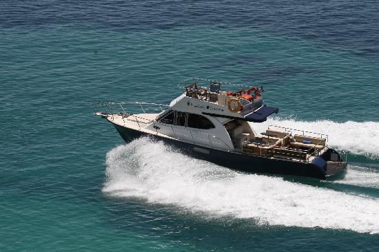 Nautilus Daily Cruises