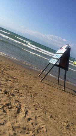 Albatross Water Sports