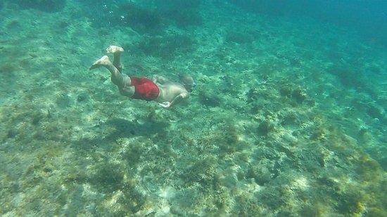 Fortuna Sea Tours