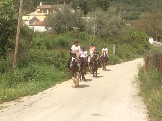 Horse Trekking Corfu
