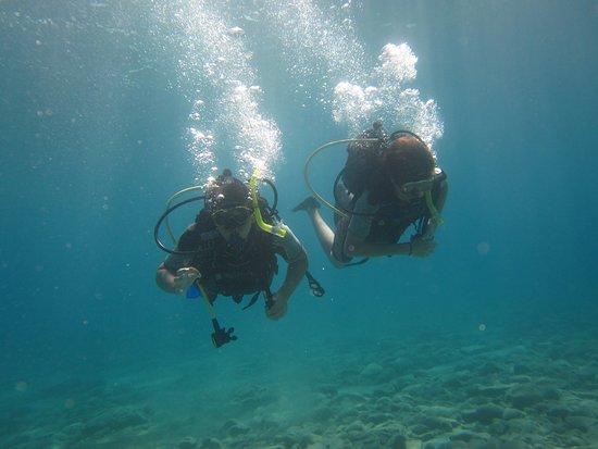 Hercules Marine Activities