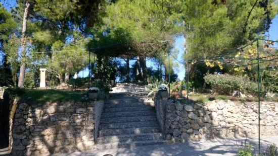 Musée D.Solomos